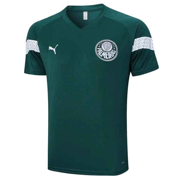 Camiseta Entrenamiento Palmeiras 2023-24 Verde